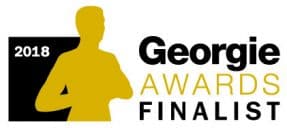 2018 georgia awards finalist
