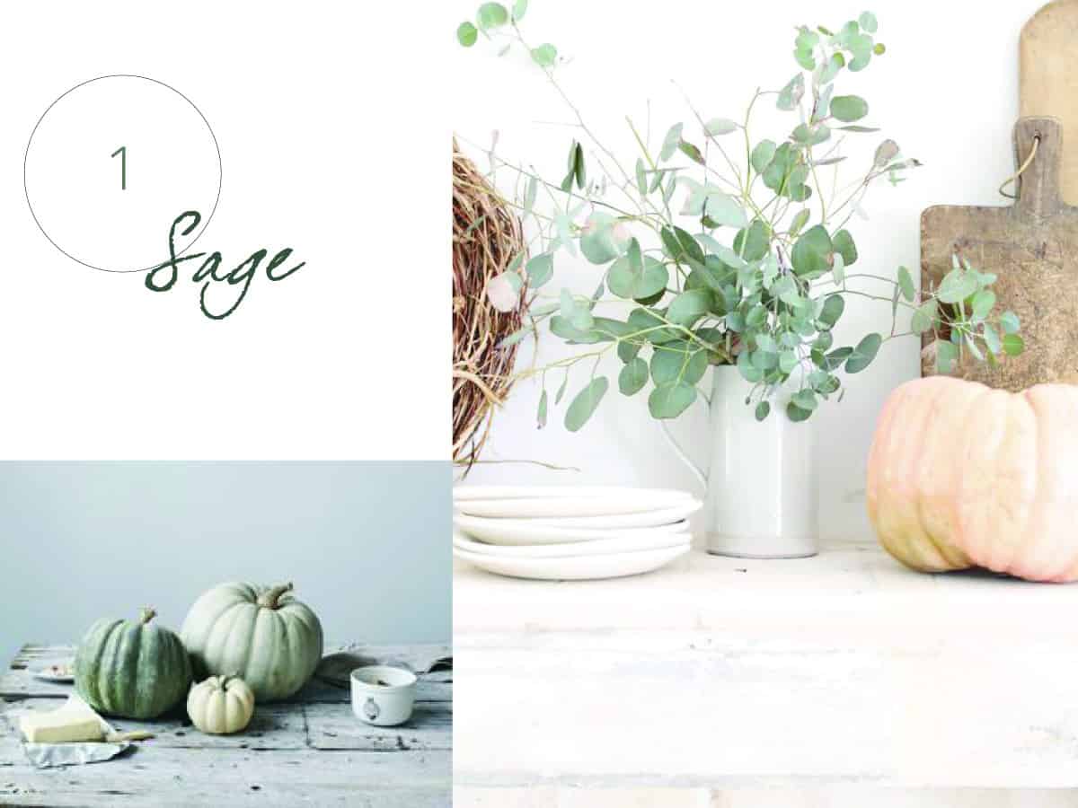 Use Sage For fall decorating